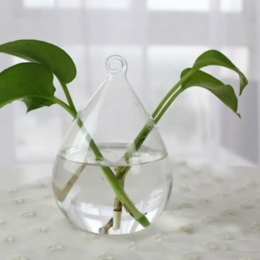 DecorBites™ Modern Glass Vase Terrarium Aquarium Decoration