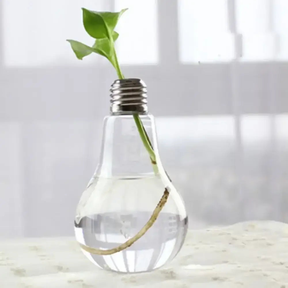 DecorBites™ Modern Glass Vase Terrarium Aquarium Decoration