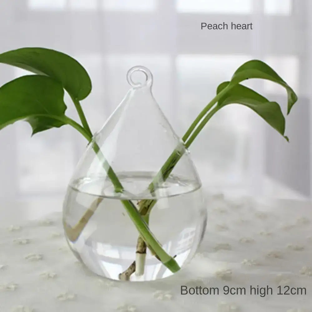 DecorBites™ Modern Glass Vase Terrarium Aquarium Decoration