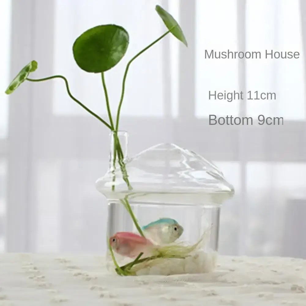 DecorBites™ Modern Glass Vase Terrarium Aquarium Decoration