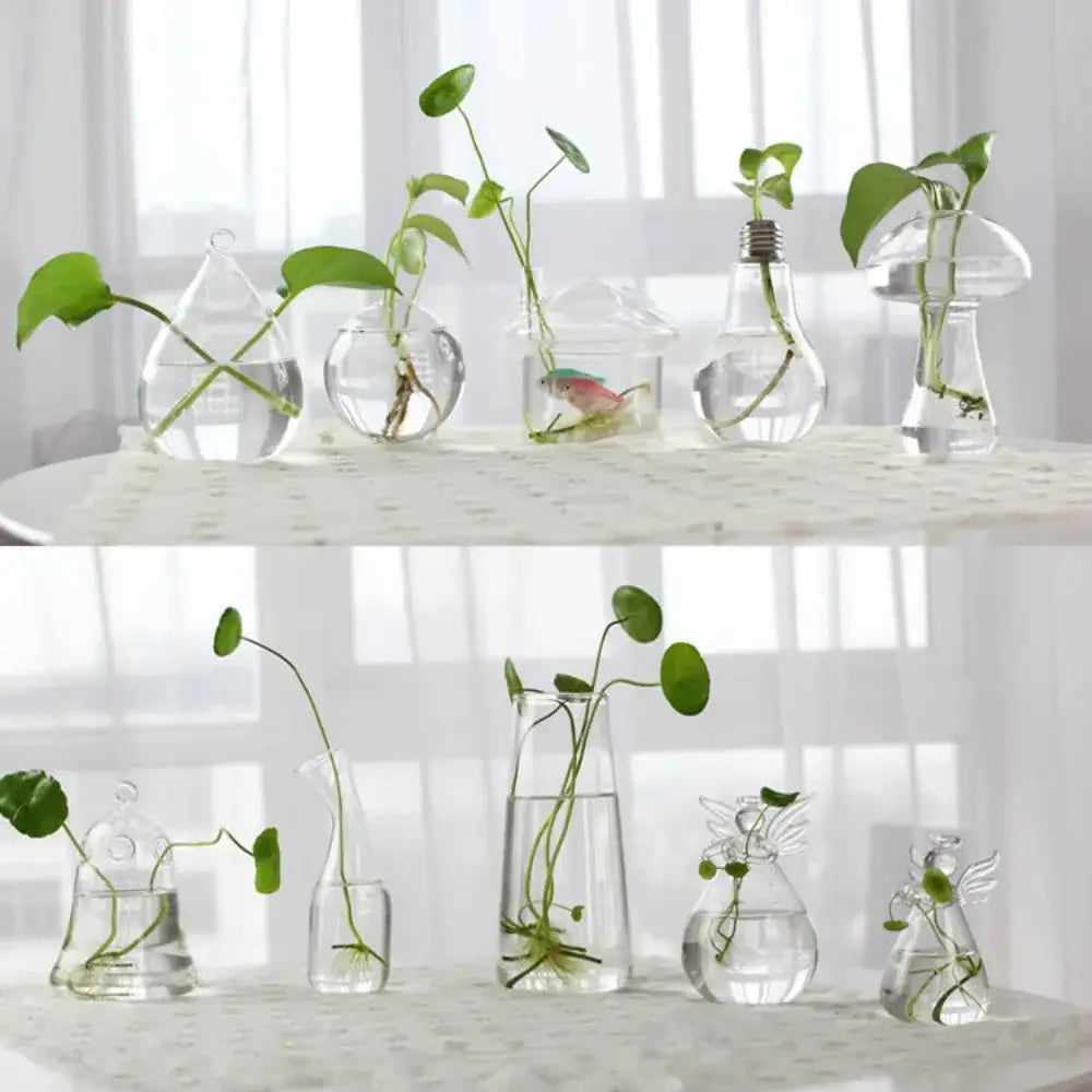 DecorBites™ Modern Glass Vase Terrarium Aquarium Decoration