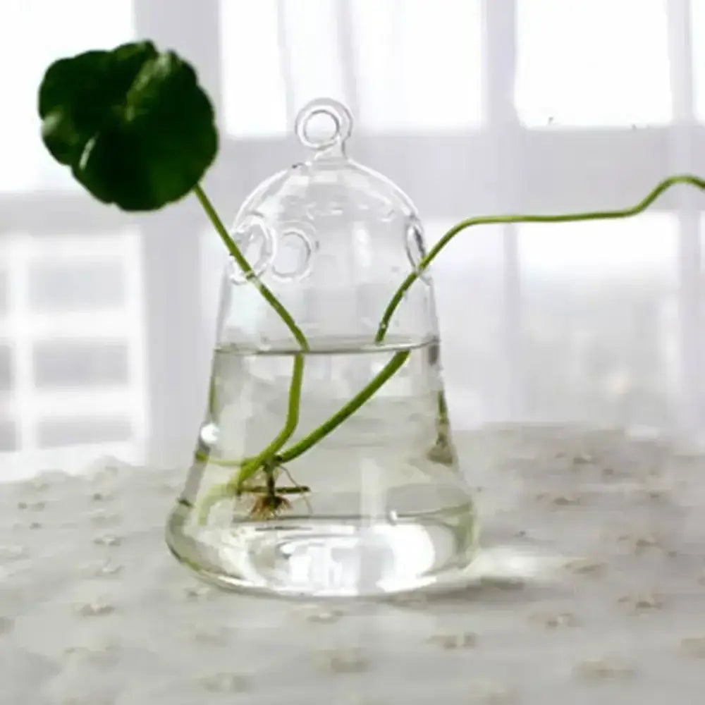 DecorBites™ Modern Glass Vase Terrarium Aquarium Decoration