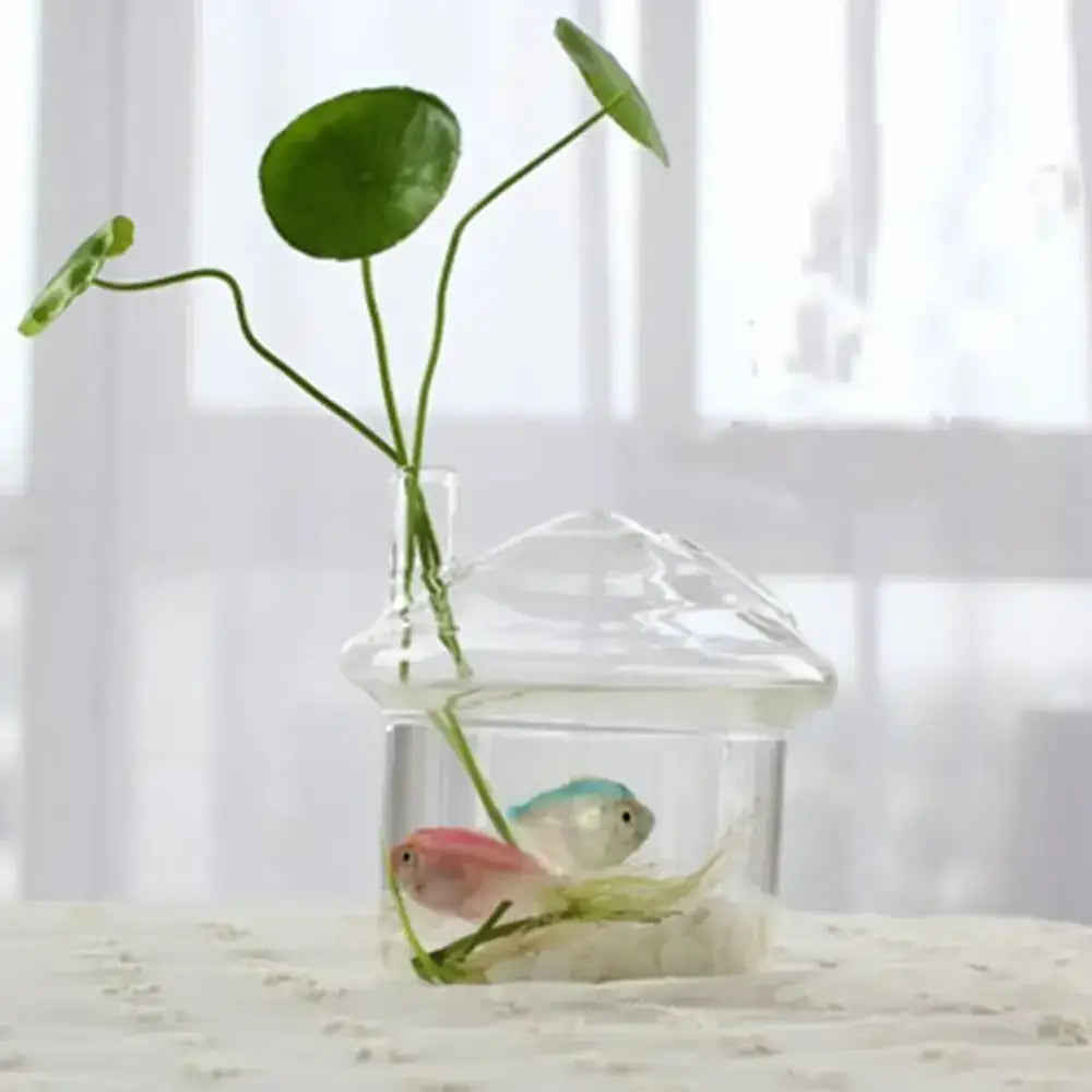 DecorBites™ Modern Glass Vase Terrarium Aquarium Decoration