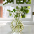 DecorBites™ Modern Glass Vase Terrarium Aquarium Decoration