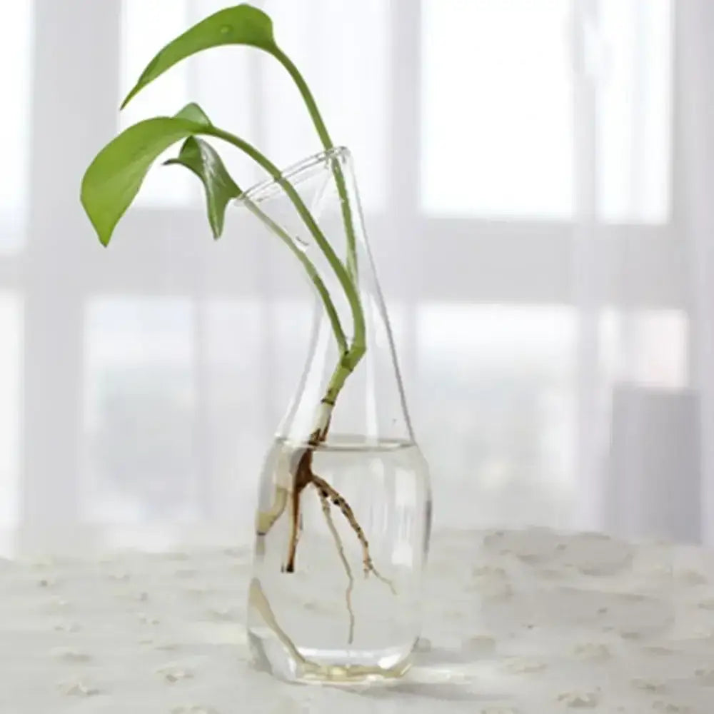DecorBites™ Modern Glass Vase Terrarium Aquarium Decoration