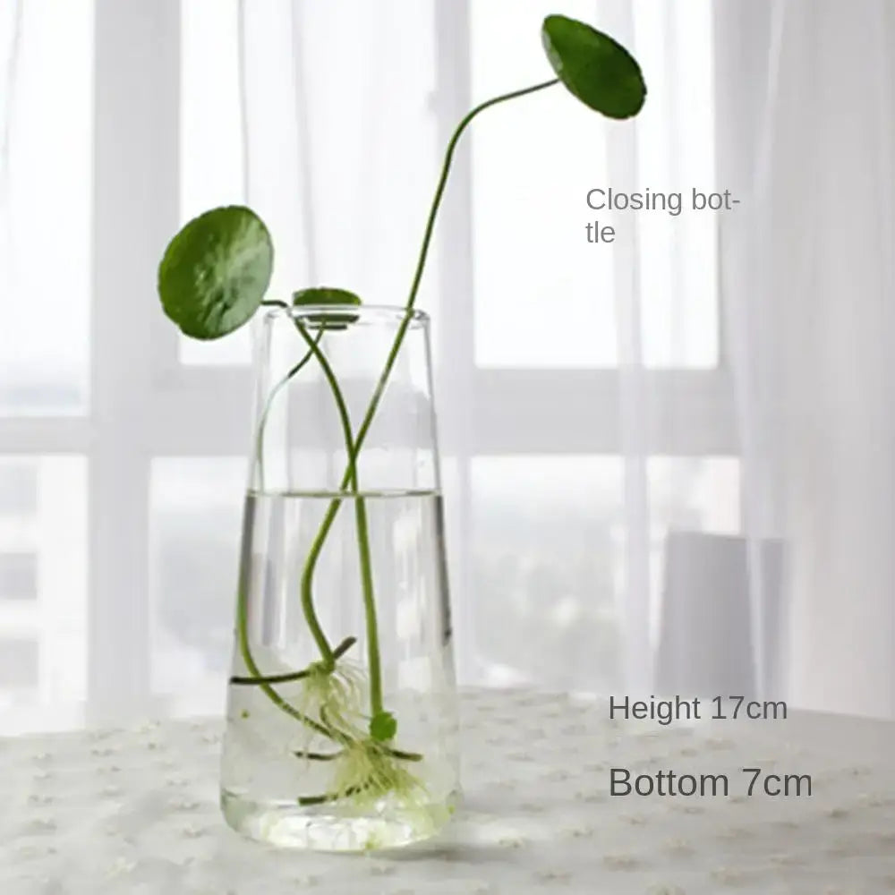 DecorBites™ Modern Glass Vase Terrarium Aquarium Decoration