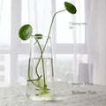 Clear glass vase terrarium with a sleek tapered design and rounded base by DecorBites™ for modern decoration