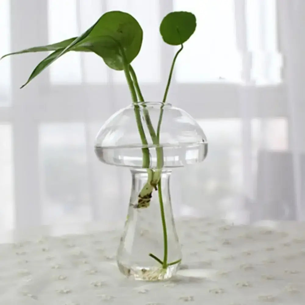 DecorBites™ Modern Glass Vase Terrarium Aquarium Decoration