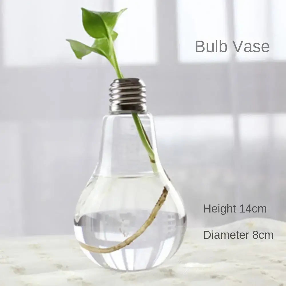 DecorBites™ Modern Glass Vase Terrarium Aquarium Decoration