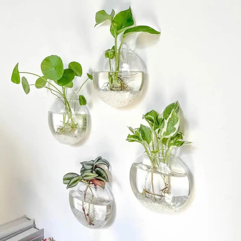 DecorBites™ Modern Hanging Glass Vase for Home Decor