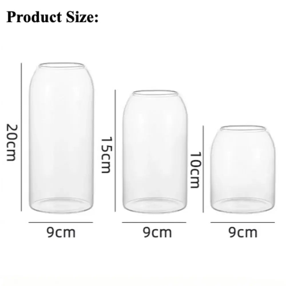 DecorBites™ Modern Hydroponic Glass Flower Vase for Home & Wedding