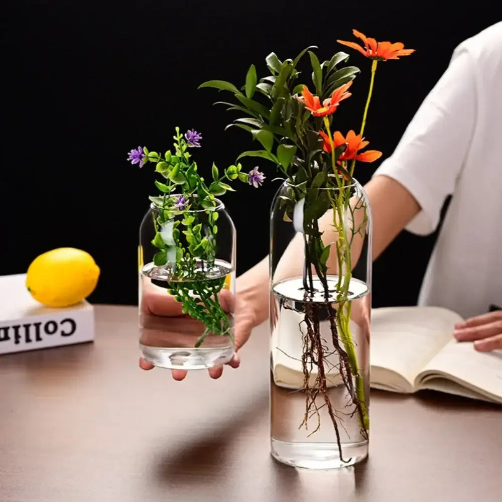 DecorBites™ Modern Hydroponic Glass Flower Vase for Home & Wedding