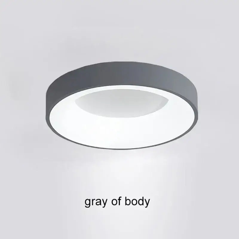DecorBites™ Modern LED Ceiling Light for Home - Indoor Lighting