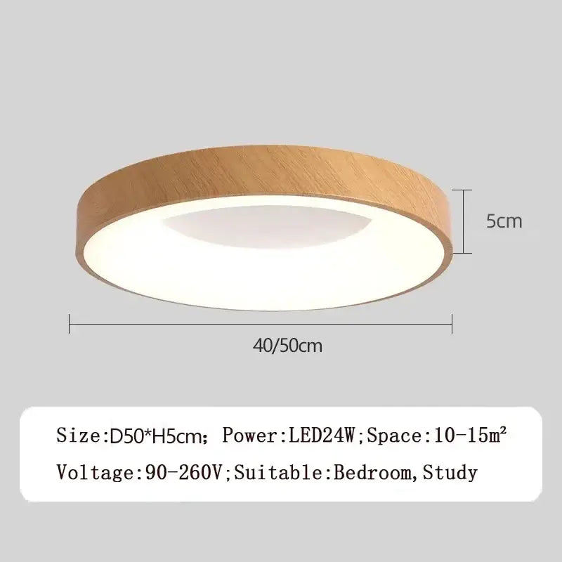 DecorBites™ Modern LED Ceiling Light for Home - Indoor Lighting