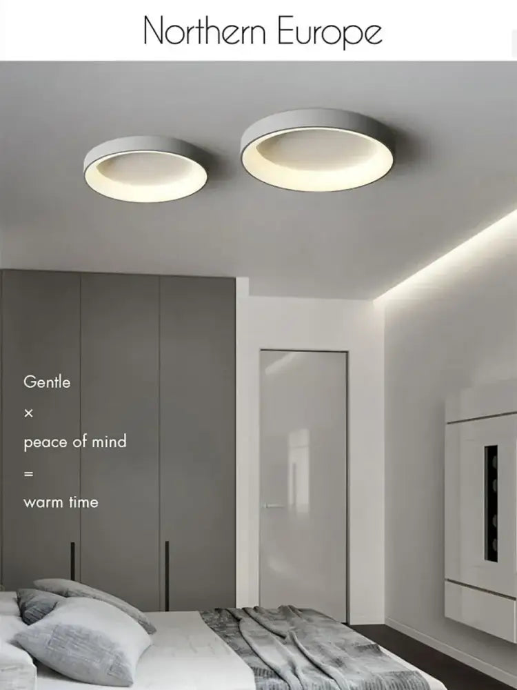 DecorBites™ Modern LED Ceiling Light for Home - Indoor Lighting