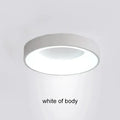 DecorBites™ Modern LED Ceiling Light for Home - Indoor Lighting