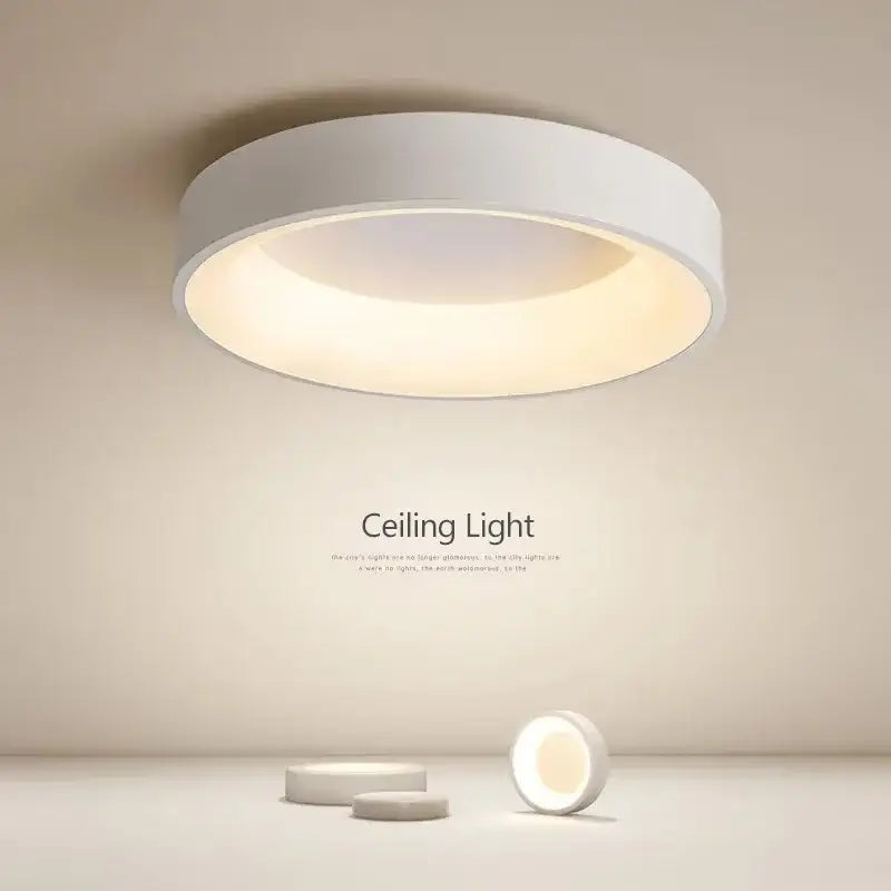 DecorBites™ Modern LED Ceiling Light for Home - Indoor Lighting