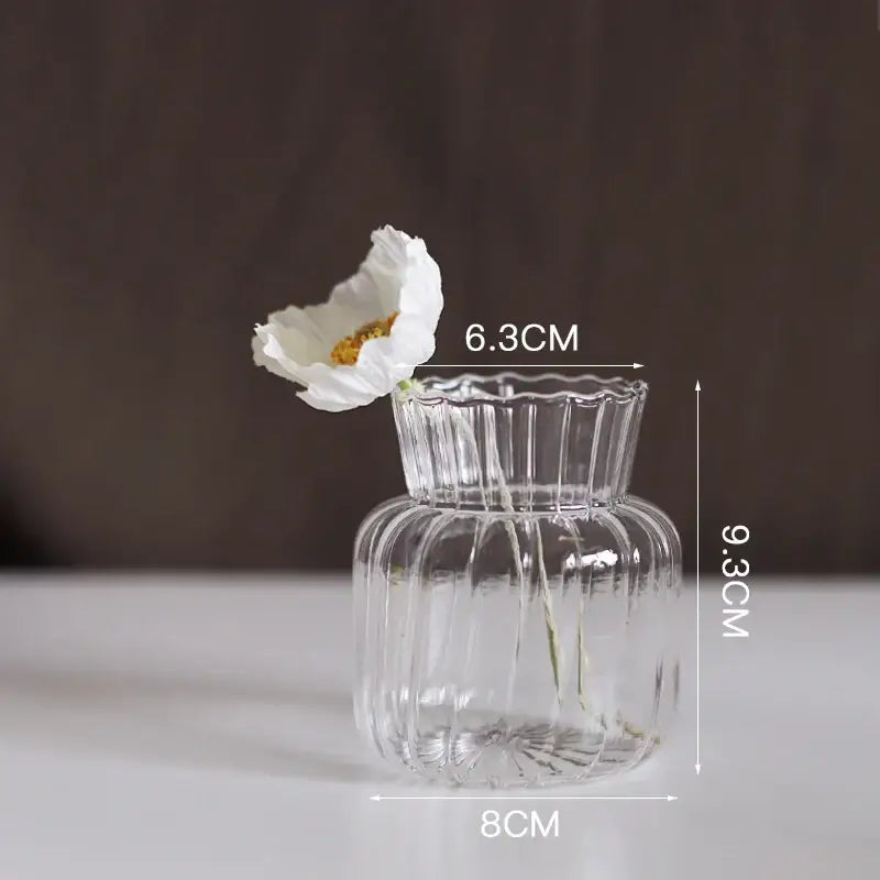 DecorBites™ Modern Nordic Glass Vases Set for Home and Wedding
