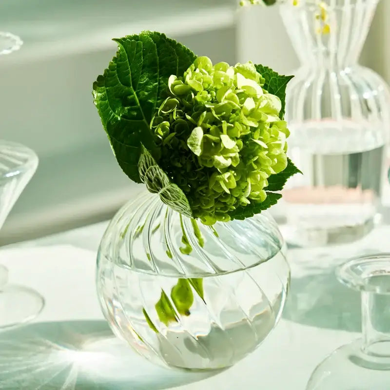 DecorBites™ Modern Nordic Glass Vases Set for Home and Wedding