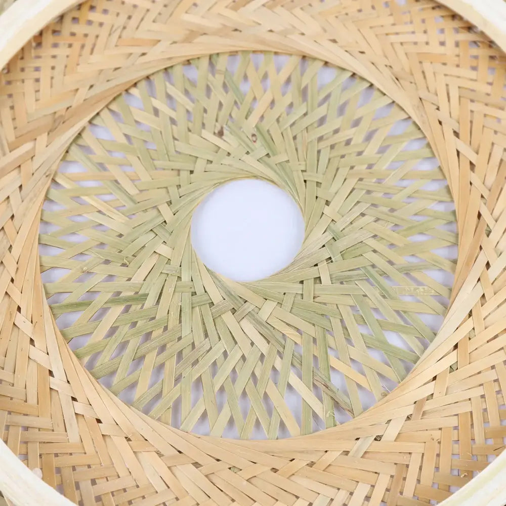 DecorBites™ Modern Rattan Pendant Light - LED Ceiling Fan