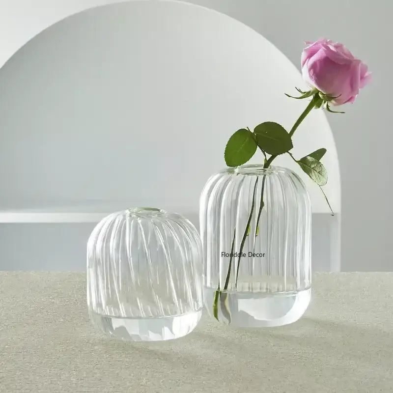 DecorBites™ Modern Transparent Glass Vases Set for Home