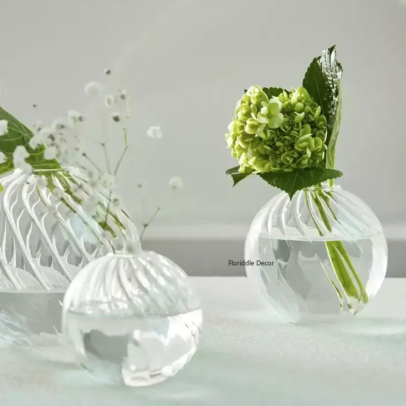 DecorBites™ Modern Transparent Glass Vases Set for Home