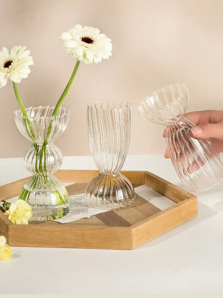 DecorBites™ Modern Transparent Glass Vases Set for Home