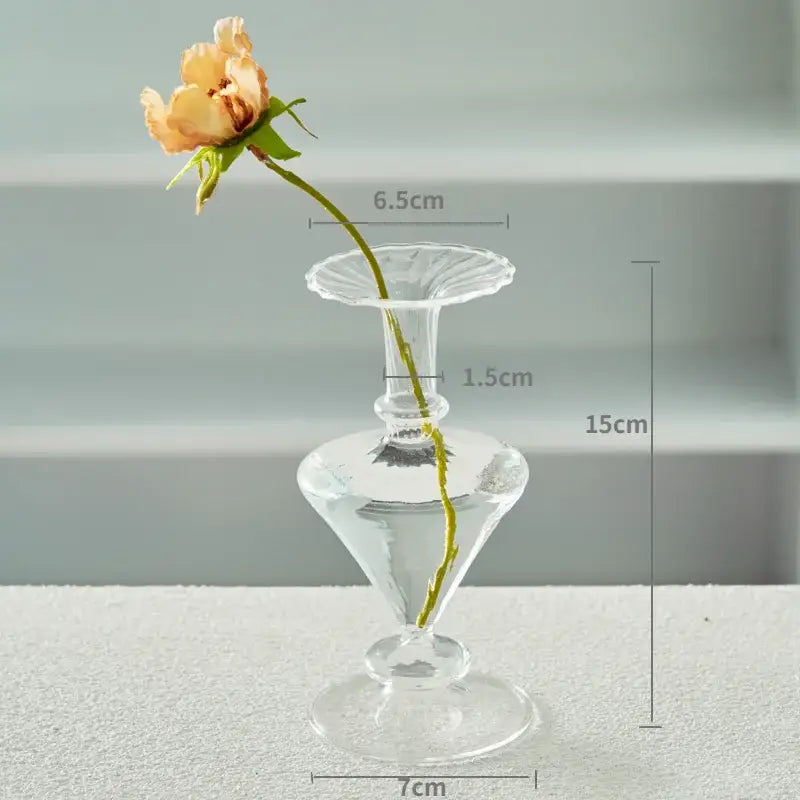 DecorBites™ Modern Transparent Glass Vases Set for Home