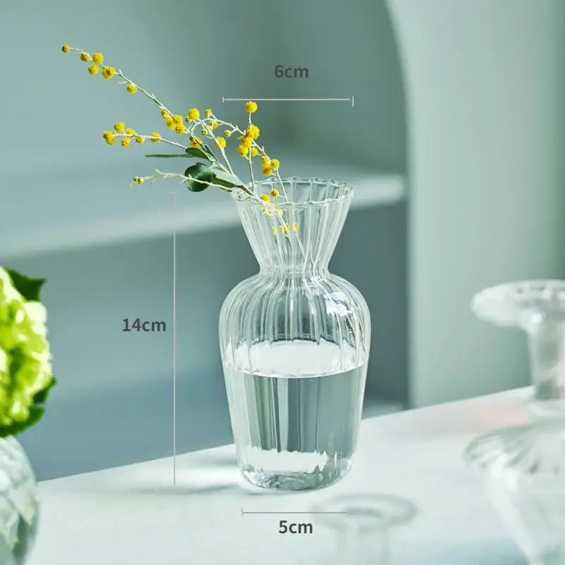 DecorBites™ Modern Transparent Glass Vases Set for Home