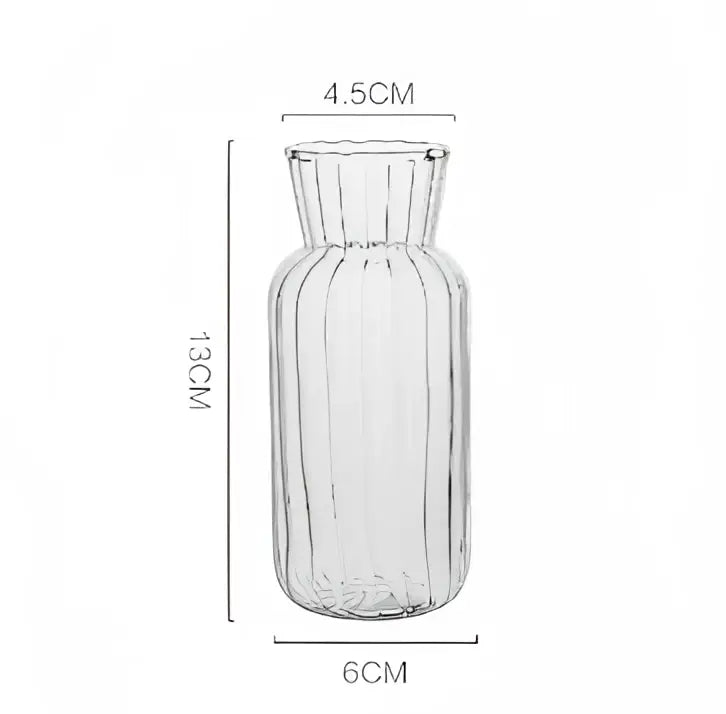 DecorBites™ Modern Transparent Glass Vases Set for Home