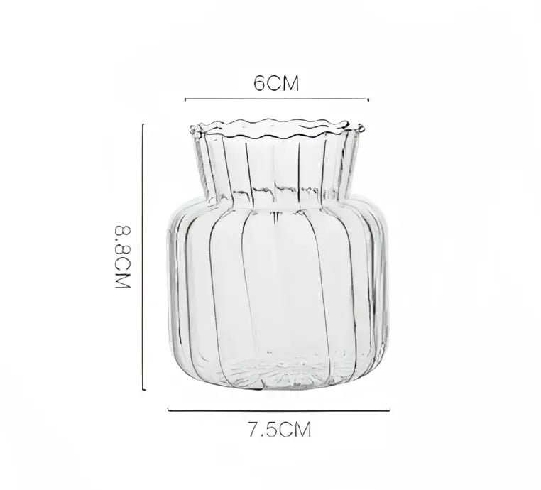 DecorBites™ Modern Transparent Glass Vases Set for Home