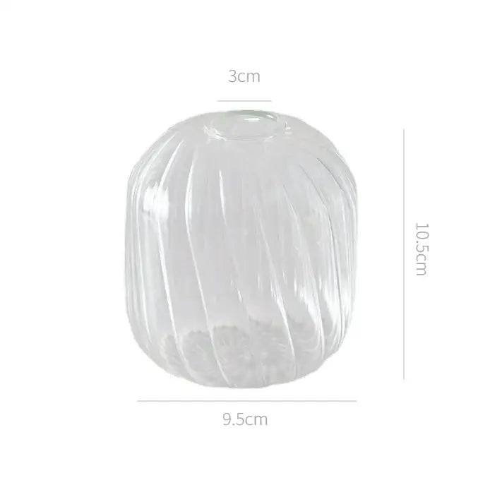 DecorBites™ Modern Transparent Glass Vases Set for Home