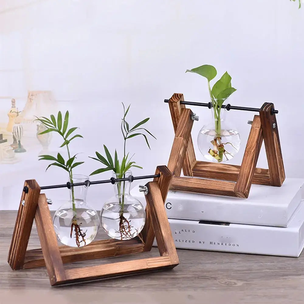 DecorBites™ Modern Wooden Frame Glass Vase Terrarium