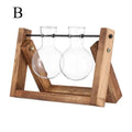 DecorBites™ Modern Wooden Frame Glass Vase Terrarium