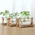 Set of five clear glass vases with visible roots holding green plants on modern wooden frame stands by DecorBites™
