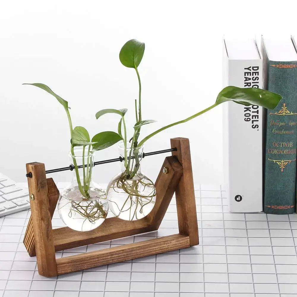 DecorBites™ Modern Wooden Frame Glass Vase Terrarium