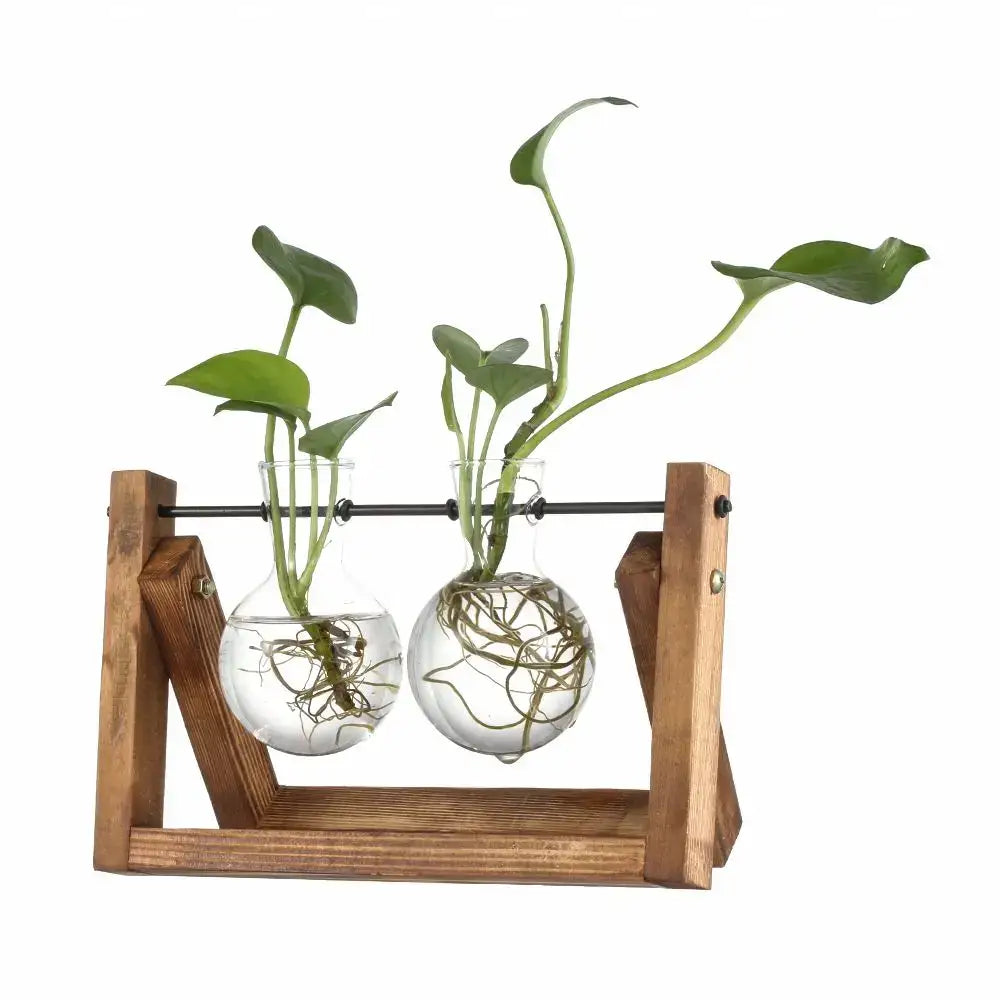 DecorBites™ Modern Wooden Frame Glass Vase Terrarium