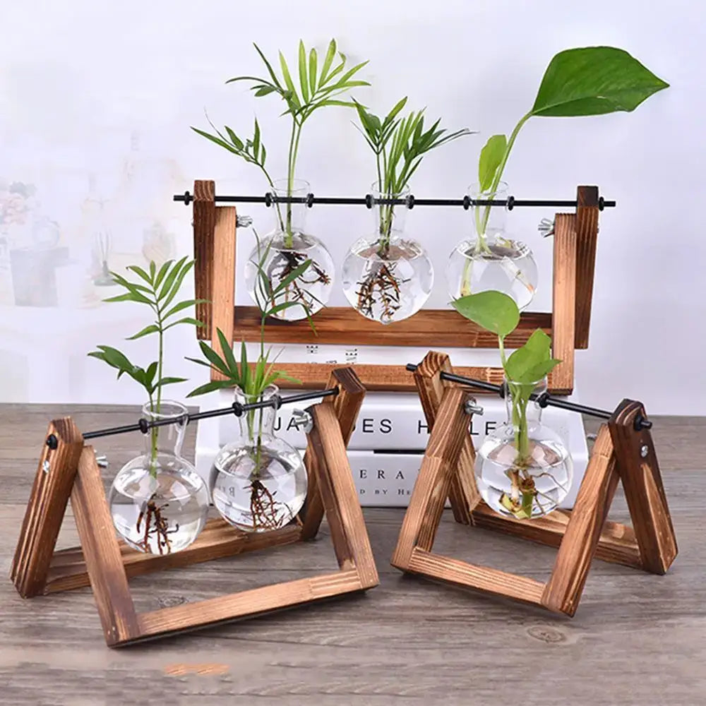 DecorBites™ Modern Wooden Frame Glass Vase Terrarium