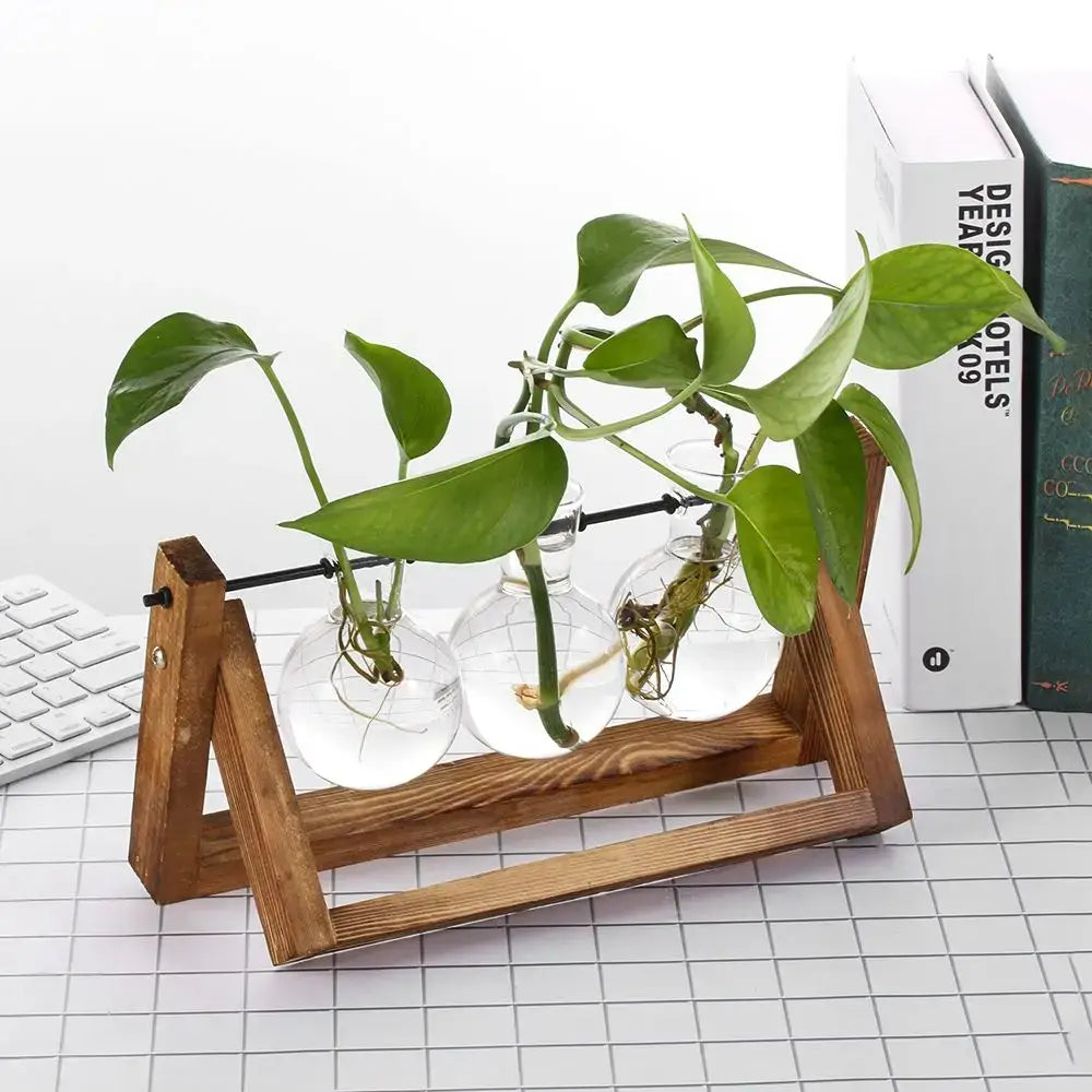 DecorBites™ Modern Wooden Frame Glass Vase Terrarium
