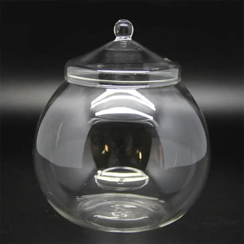 DecorBites™ Moss Ball Glass Vase for Desktop Decor