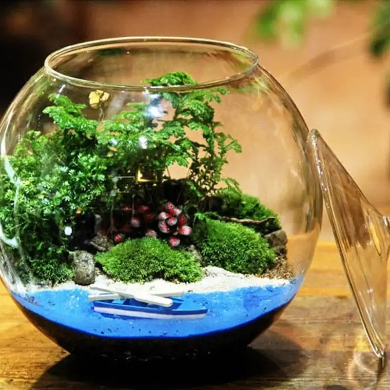 DecorBites™ Moss Ball Glass Vase for Desktop Decor