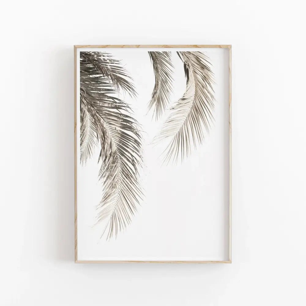 DecorBites™ Nordic Botanical Poster Canvas Art - Eucalyptus Palm