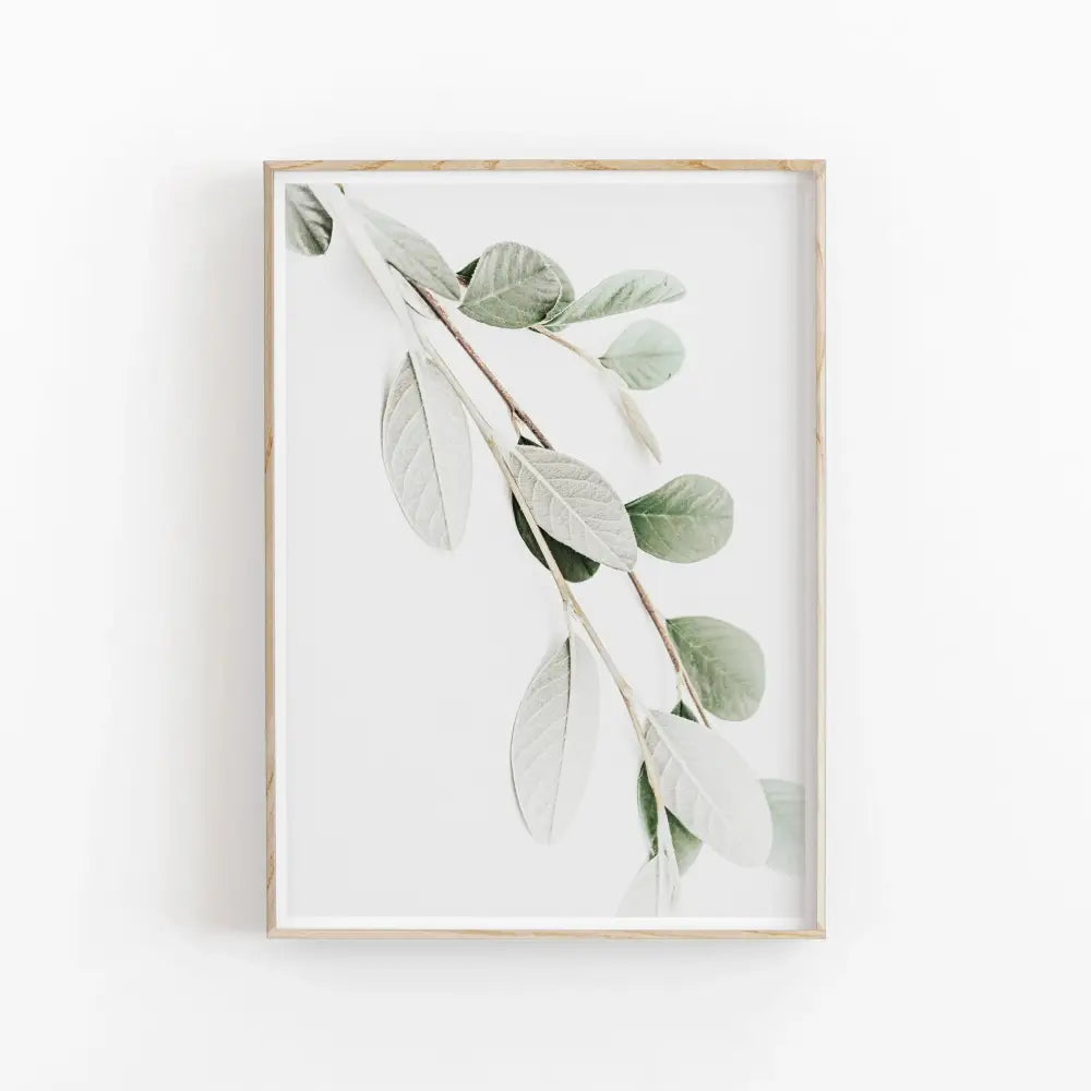 DecorBites™ Nordic Botanical Poster Canvas Art - Eucalyptus Palm