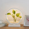 DecorBites™ Nordic Circle Table Lamp with Hydroponics Plant Pot Design and LED Night Light