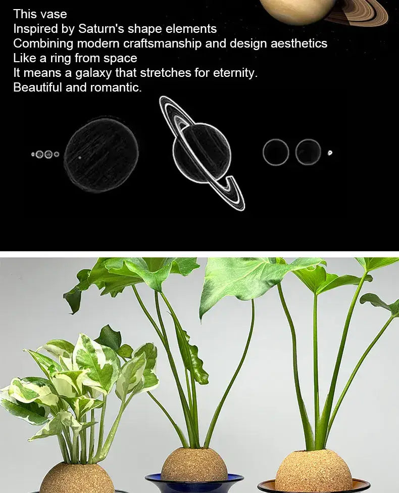 DecorBites™ Nordic Glass Vase for Home Decor - Small Transparent Vase