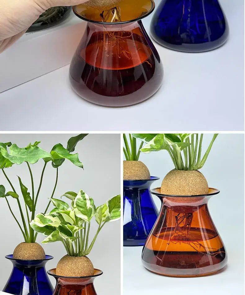 DecorBites™ Nordic Glass Vase for Home Decor - Small Transparent Vase