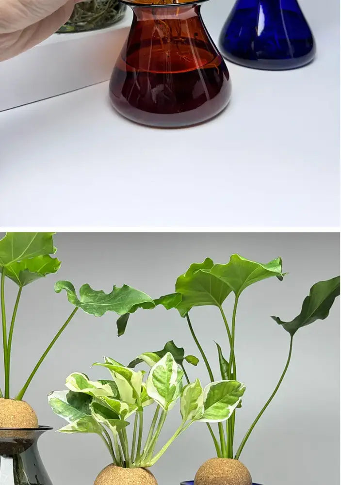 DecorBites™ Nordic Glass Vase for Home Decor - Small Transparent Vase
