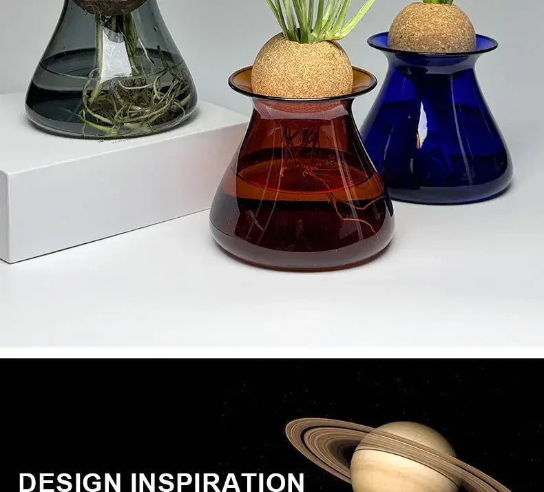 DecorBites™ Nordic Glass Vase for Home Decor - Small Transparent Vase