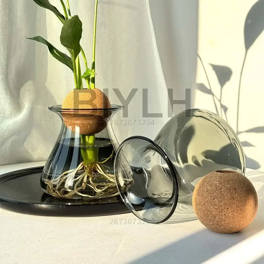 DecorBites™ Nordic Glass Vase for Home Decor - Small Transparent Vase