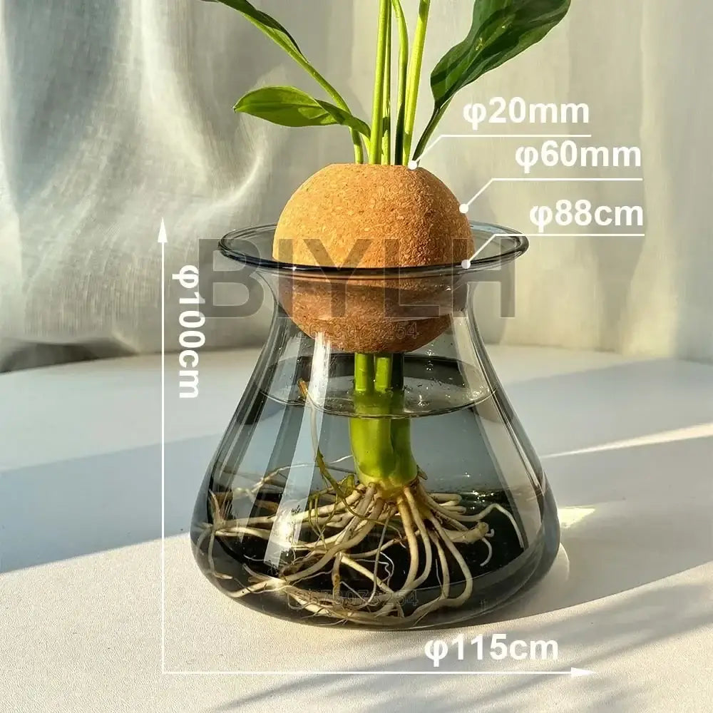 DecorBites™ Nordic Glass Vase for Home Decor - Small Transparent Vase